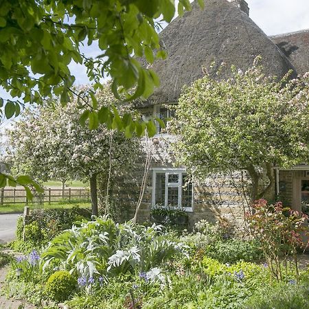 دورتشستر Tudor Cottage B&B Frampton المظهر الخارجي الصورة