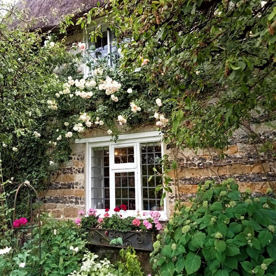 دورتشستر Tudor Cottage B&B Frampton المظهر الخارجي الصورة