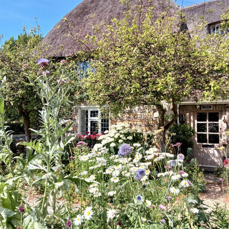 دورتشستر Tudor Cottage B&B Frampton المظهر الخارجي الصورة