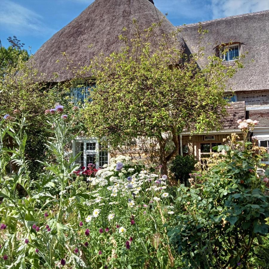 دورتشستر Tudor Cottage B&B Frampton المظهر الخارجي الصورة