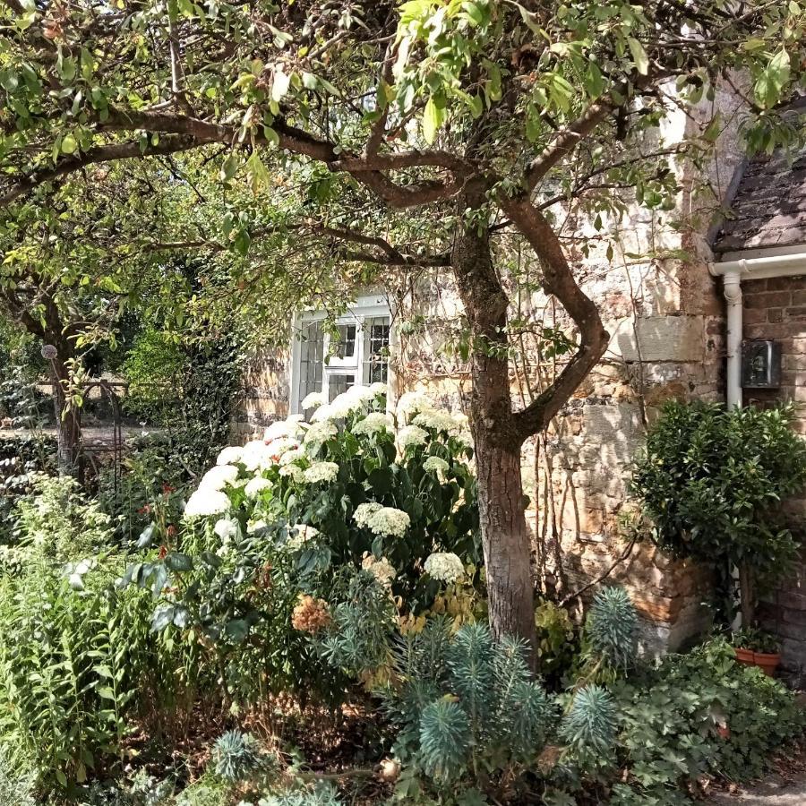 دورتشستر Tudor Cottage B&B Frampton المظهر الخارجي الصورة