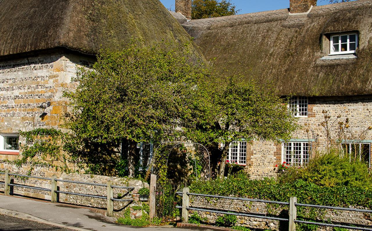 دورتشستر Tudor Cottage B&B Frampton المظهر الخارجي الصورة